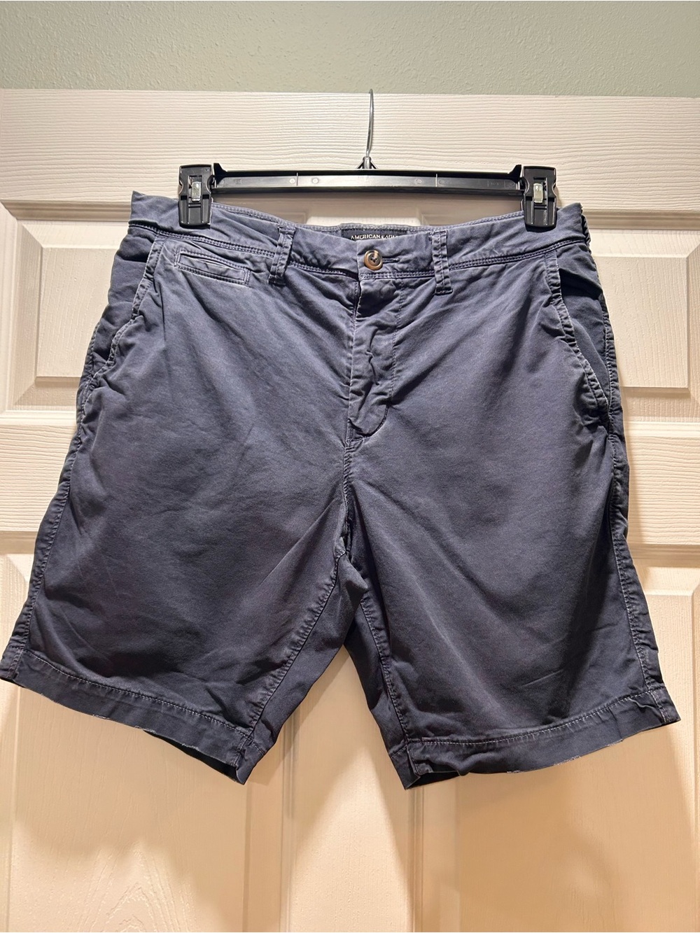 American Eagle Outfitters Men's Dark Blue Flat Front Chino Shorts